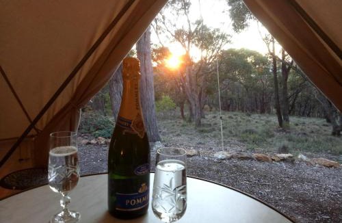 New Gisborne Other | Macedon Ranges Glamping with kangaroos - Tent