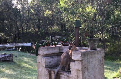 Gurranang House | Magic Bush Stay Yamba Hinterland by Tiny Away