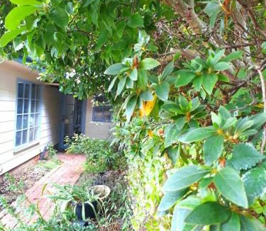 Croydon North House | Magnolia Cottage- wineries, main street, station