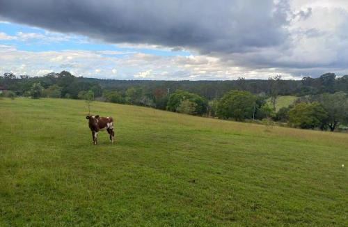 Benarkin North House | Maison de Lavande Farmstay