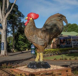 Balmoral Ridge Hotel | Maleny Hills Motel