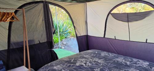 Mount Morgan Other | Meyenburg Glamping