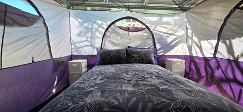 Mount Morgan Other | Meyenburg Glamping