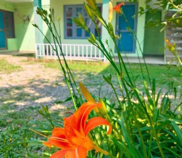 Bhowali Hotel | Misty Mount By Himalayan Tree Hotels