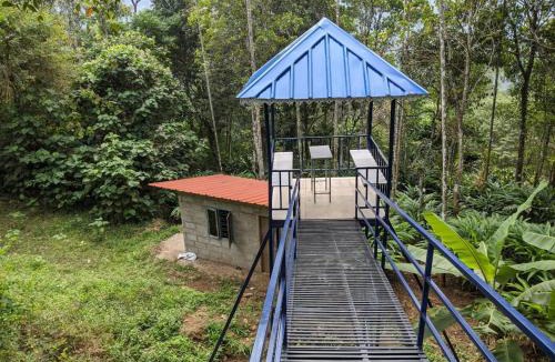 Udumbanchola Bed & Breakfast | Misty Valley Hospitality,Munnar