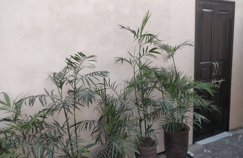 Amritsar House | modern room just 10 minute walk from golden temple for families