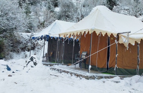 Auli RV Rental | Morning Glory camping and trekking