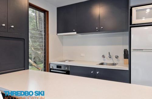 Thredbo Ski Chalet | Mosswood 3