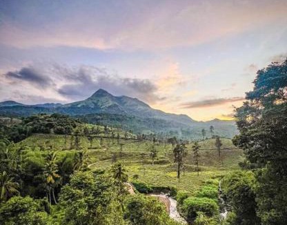 Kottappadi part House | Mountain Serenity Meppadi, Wayanad
