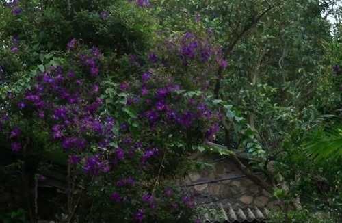 Vagamon Cottage | Mountain Villa - Stone Cottage