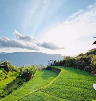 Periyur House | Muffintrip stays camp N trek