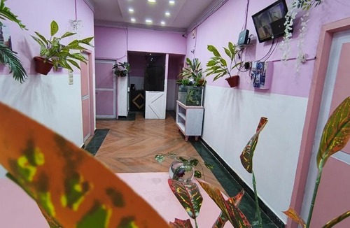 Mysore Cabin | Mysore Nivas - ADH