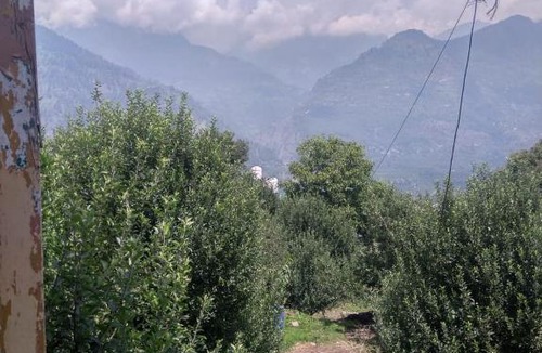 Naggar House | Naggar snow view