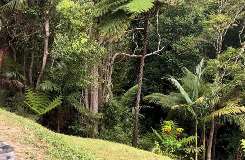 Nambucca Heads House | Nambucca rainforest retreat. Secluded - short walk to beaches, river and cafes.