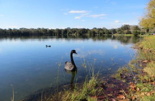 West Leederville Bed & Breakfast | Northwood Bed and Breakfast