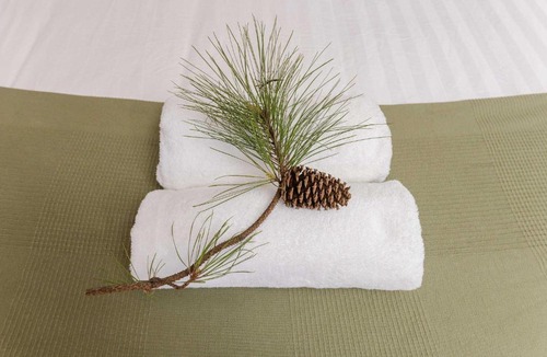 Cottonvale House | Novena Pines by Tiny Away