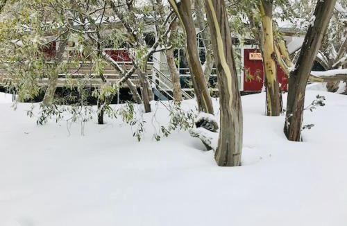 Mount Buller Cabin | Nutcracker Ski Club