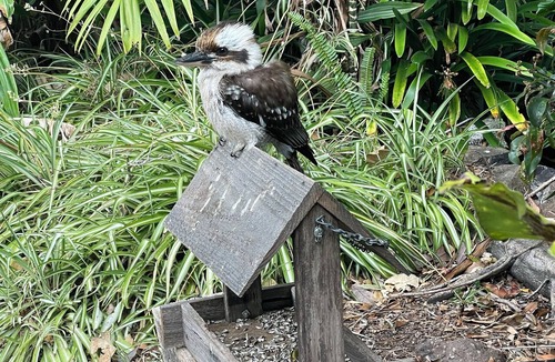 Ulladulla Hotel | Oasis Inn Ulladulla - Guest 18 Years and Older