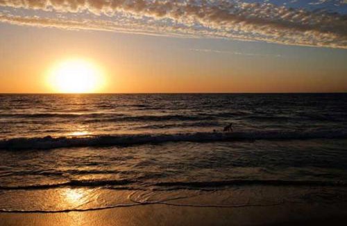 North Beach Hotel | Ocean View Motel