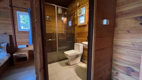 Arambol Resort | Oceano Beach Resort
