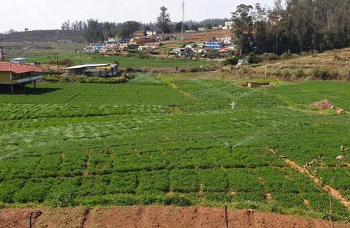 Ooty Apartment | Ooty Farm House