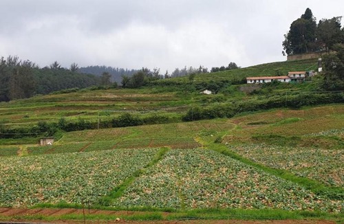 Ooty Apartment | Ooty Farm House
