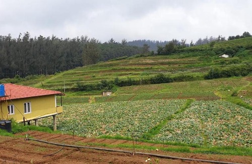 Ooty Apartment | Ooty Farm House