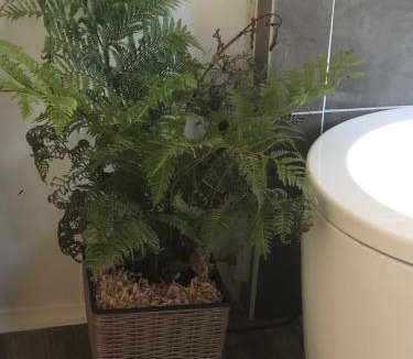 Beechina House | Our Little Hideaway Beechina