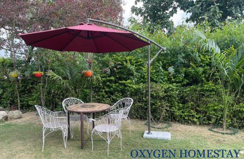 Bigha House | Oxygen Homestay-A Blissful Retreat