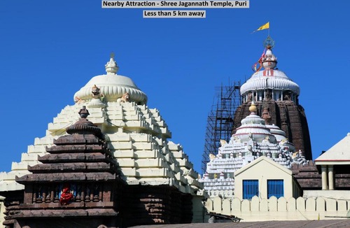 Puri Hotel | OYO 45069 MSM Residency
