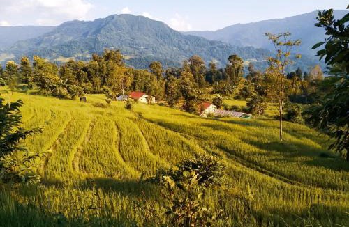 Kalimpong House | PaliGhar Farmstay