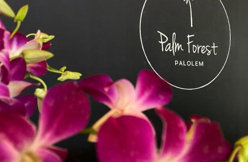 Canacona Hotel | Palm Forest Palolem