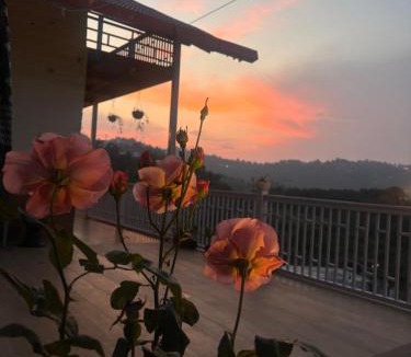 Mukteshwar House | Paradise Villas