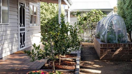 Apollo Bay House | Pear Tree Cottage