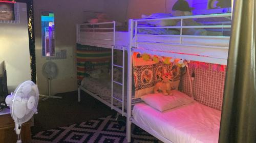 Pemberton Hostel | Pemberton Hostel - note - Go to Gloucester Motel Reception for check in - Backpackers 88 days farm work available in the Manjimup and Pemberton Region