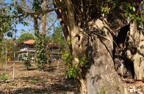 Kushalnagar House | Periwinkle Place