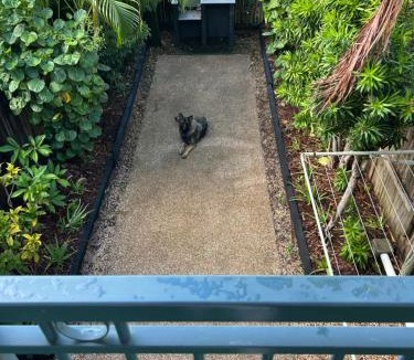 Cannonvale Apartment | PET FRIENDLY Coolview