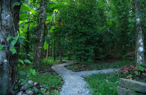Pirmed Bed & Breakfast | Philip Mary Farm Stay, Thekkady