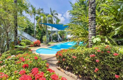 Jubilee Pocket Apartment | Poolside Mango House