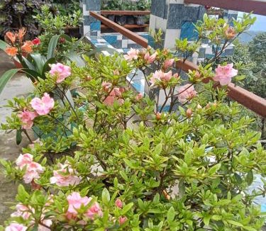 Ghoom Apartment | Pranav Home - Stay