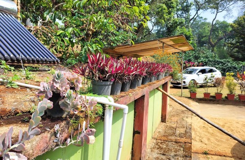 Polibetta House | Praplia Home Stay Ammathi, South Coorg