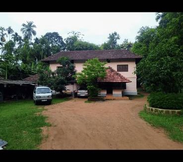 Pandikkad Resort | Private room ∙ 1 guest