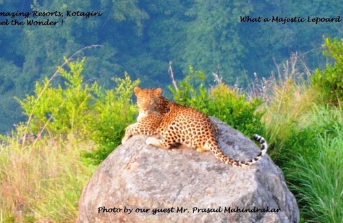 Kotagiri Resort | Private room ∙ 2 guests