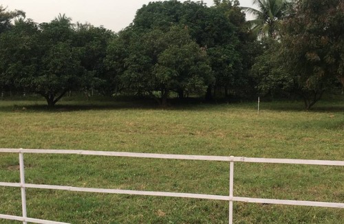 Gudiyatham Resort | Private room ∙ 2 guests
