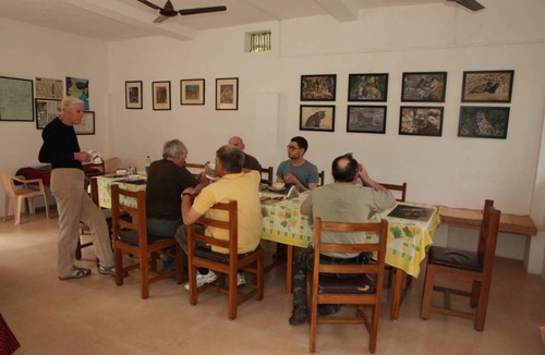 Tala Resort | Private room ∙ 2 guests