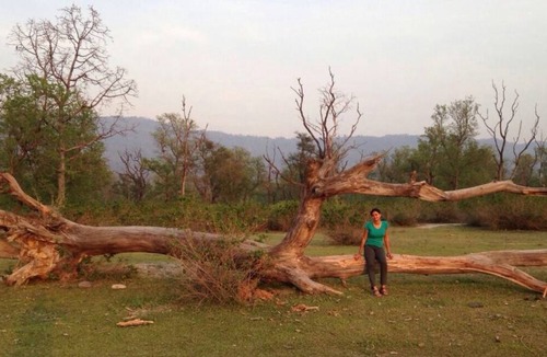 Tehri Resort | Private room ∙ 2 guests