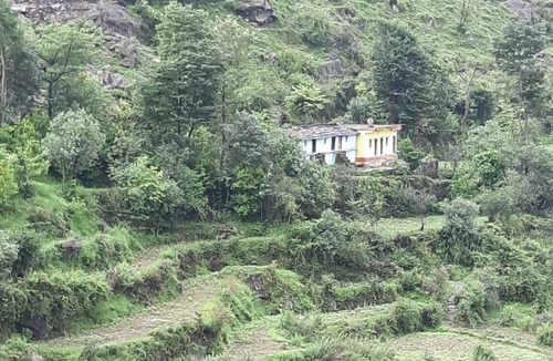 Chamoli Resort | Private room ∙ 1 guest