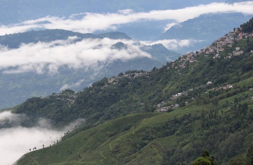 Darjeeling Resort | Private room ∙ 4 guests