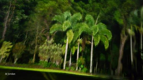 Cow Bay House | Rainforest Large Room w Ensuite private In 2 bdrm home