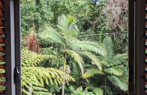 Edge Hill Villa | Rainforest Meets Luxury - Infinity Pool Views